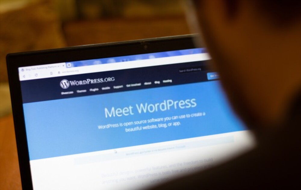 Wordpress3