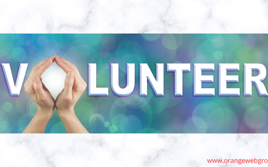 Volunteer for Nonprofit Website